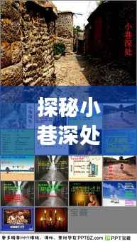 探秘小巷深处的宝藏,揭秘新三板实时挂单软件背后的故事