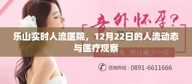 乐山实时人流动态观察,12月22日的人流数据与医疗观察报告