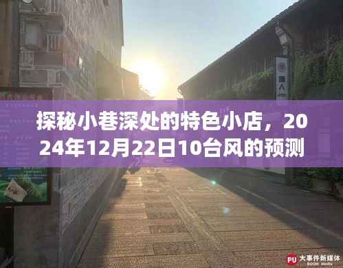探秘小巷特色小店,台风之日的独特体验之旅