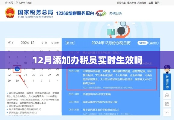 办税员实时生效时间解析,12月办理须知
