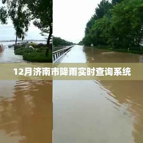 济南12月降雨实时查询系统上线