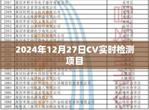 2024年CV实时检测项目启动与进展