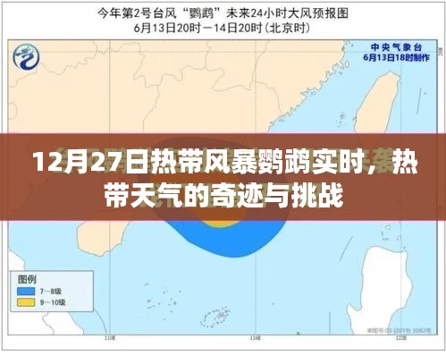 热带风暴鹦鹉最新动态,奇迹与挑战并存