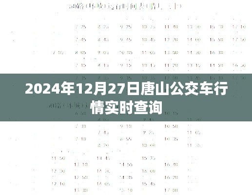 唐山公交车实时行情查询(最新更新至2024年)