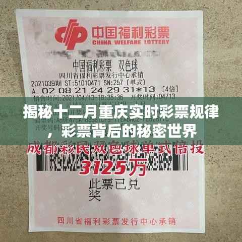 揭秘重庆彩票背后的秘密世界,十二月实时彩票规律解析