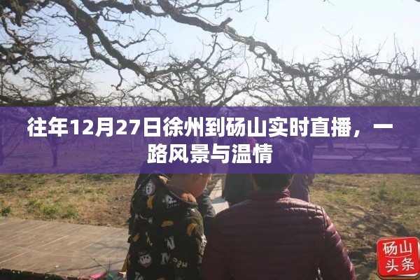 徐州至砀山暖心直播,冬日路上的风景与温情