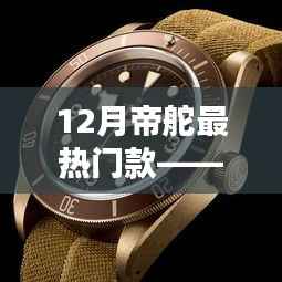 帝舵时尚之选,十二月热门款展现品质魅力