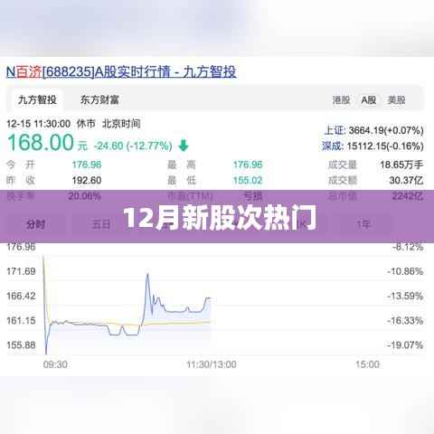 新股次热门榜单揭晓,关注热点在12月