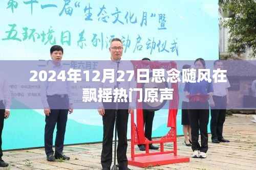 思念随风飘摇,2024年热门原声回顾
