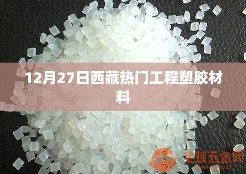 西藏热门工程塑胶材料,行业动态及市场趋势分析(12月27日)