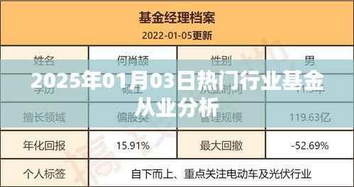 热门行业基金从业深度解析,洞悉未来趋势