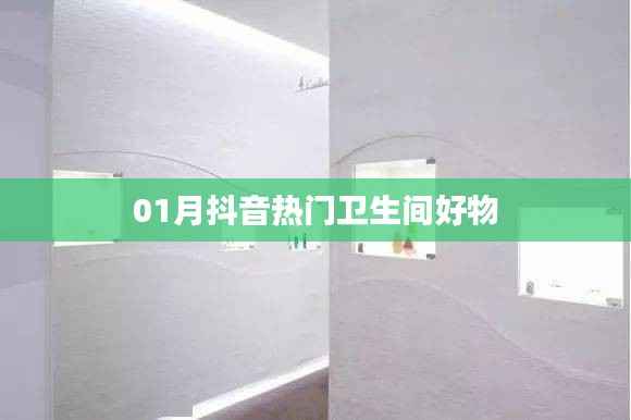 抖音热门卫生间好物推荐(精选榜单)