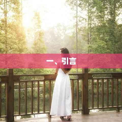 优质文章引言,引人入胜,开启阅读之旅