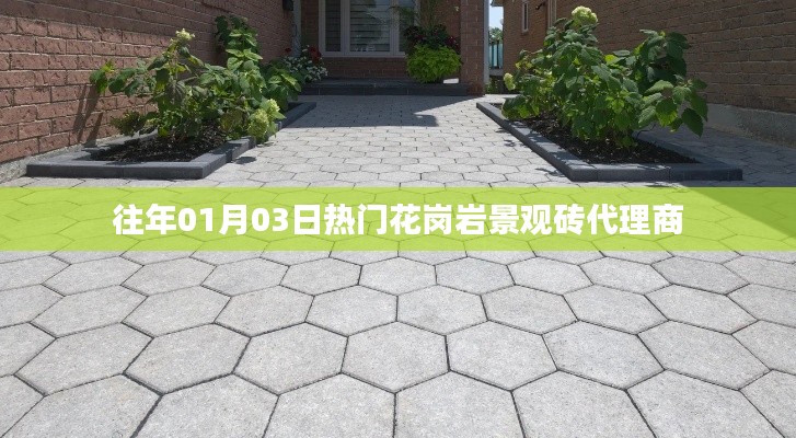 精选,热门花岗岩景观砖代理商,历年一月初市场动态解析