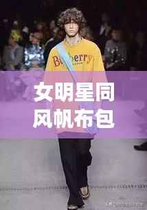 女明星同风帆布包,时尚新宠,潮流必备之选