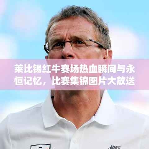 莱比锡红牛赛场热血瞬间与永恒记忆,比赛集锦图片大放送
