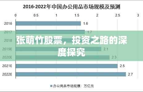 张萌竹股票,投资之路的深度探究