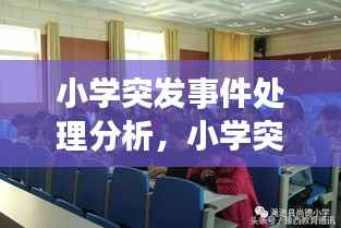 小学突发事件处理分析,小学突发事件处理方法