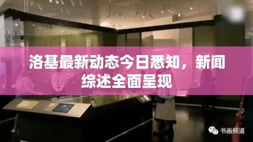 洛基最新动态今日悉知,新闻综述全面呈现