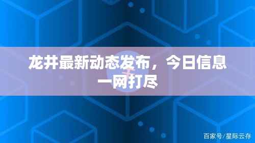 龙井最新动态发布,今日信息一网打尽