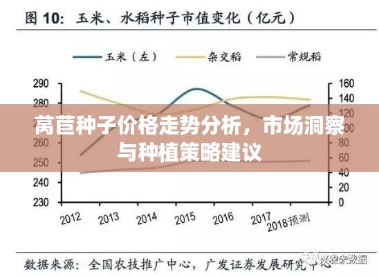 莴苣种子价格走势分析,市场洞察与种植策略建议