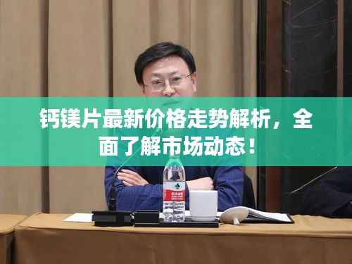 钙镁片最新价格走势解析,全面了解市场动态!