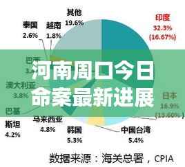 河南周口今日命案最新进展深度解析