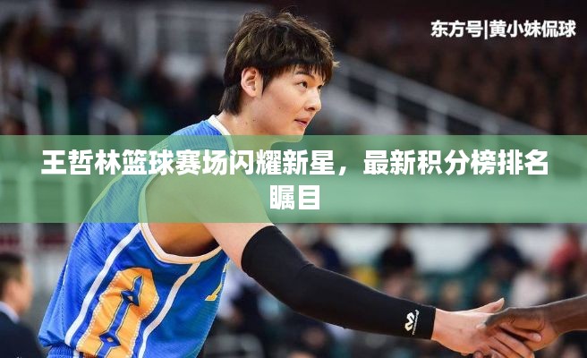 王哲林篮球赛场闪耀新星,最新积分榜排名瞩目