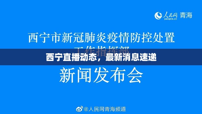 西宁直播动态,最新消息速递