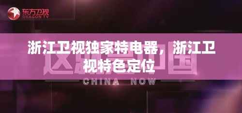 浙江卫视独家特电器,浙江卫视特色定位