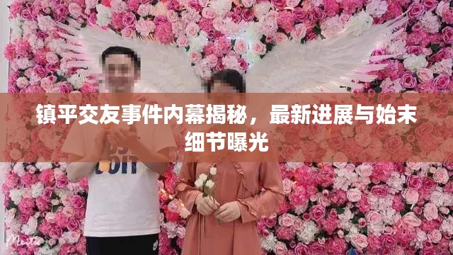 镇平交友事件内幕揭秘,最新进展与始末细节曝光