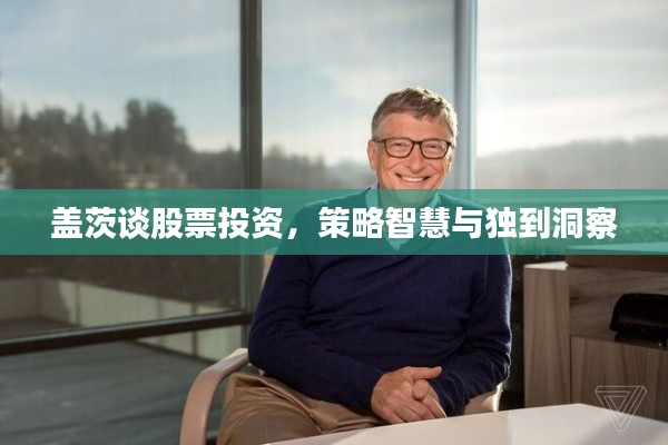 盖茨谈股票投资,策略智慧与独到洞察