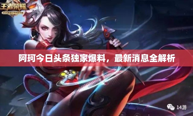阿珂今日头条独家爆料,最新消息全解析