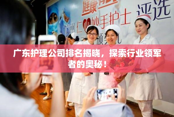 广东护理公司排名揭晓,探索行业领军者的奥秘!