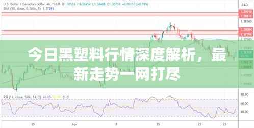 今日黑塑料行情深度解析,最新走势一网打尽