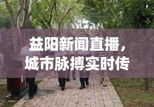 益阳新闻直播,城市脉搏实时传递,掌握最新动态!