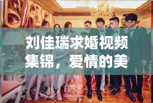 刘佳瑞求婚视频集锦,爱情的美好瞬间,最新完整版全收录!