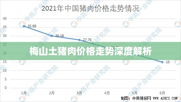 梅山土猪肉价格走势深度解析