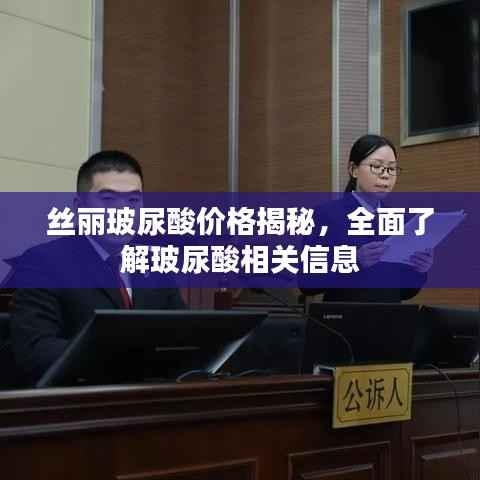 丝丽玻尿酸价格揭秘,全面了解玻尿酸相关信息