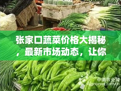张家口蔬菜价格大揭秘,最新市场动态,让你一目了然!