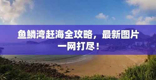 鱼鳞湾赶海全攻略，最新图片一网打尽！