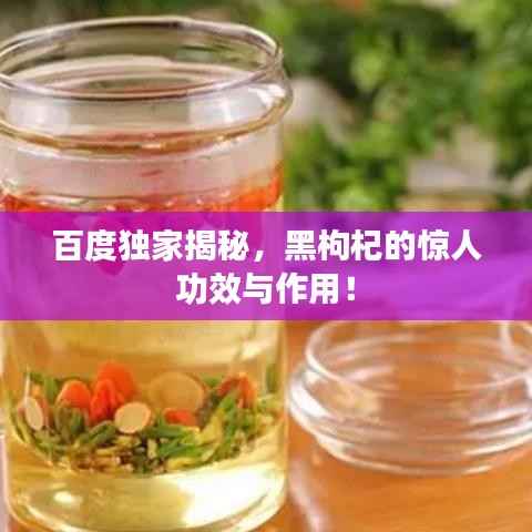 百度独家揭秘,黑枸杞的惊人功效与作用!