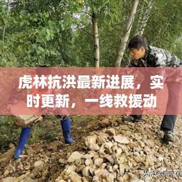 虎林抗洪最新进展,实时更新,一线救援动态揭秘