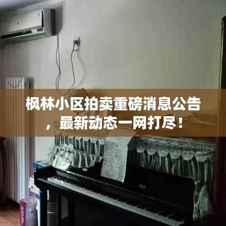 枫林小区拍卖重磅消息公告,最新动态一网打尽!