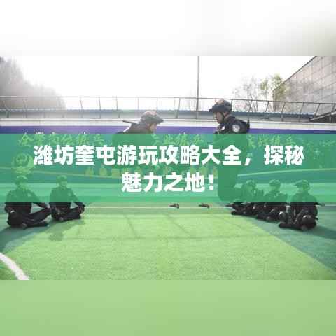 潍坊奎屯游玩攻略大全,探秘魅力之地!