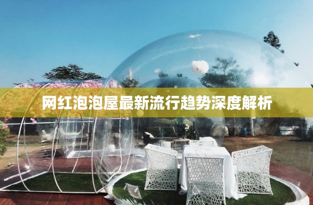 网红泡泡屋最新流行趋势深度解析