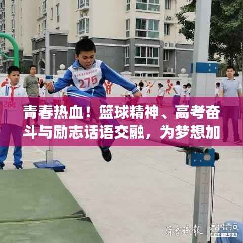 青春热血!篮球精神、高考奋斗与励志话语交融,为梦想加油鼓劲!