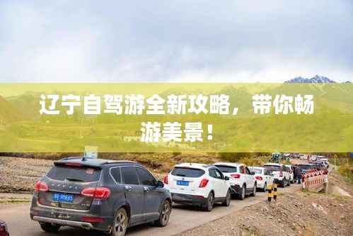 成功案例 第111页