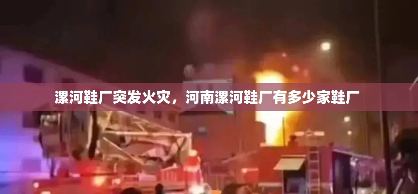 漯河鞋厂突发火灾,河南漯河鞋厂有多少家鞋厂