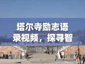 塔尔寺励志语录视频,探寻智慧,激发无限潜能